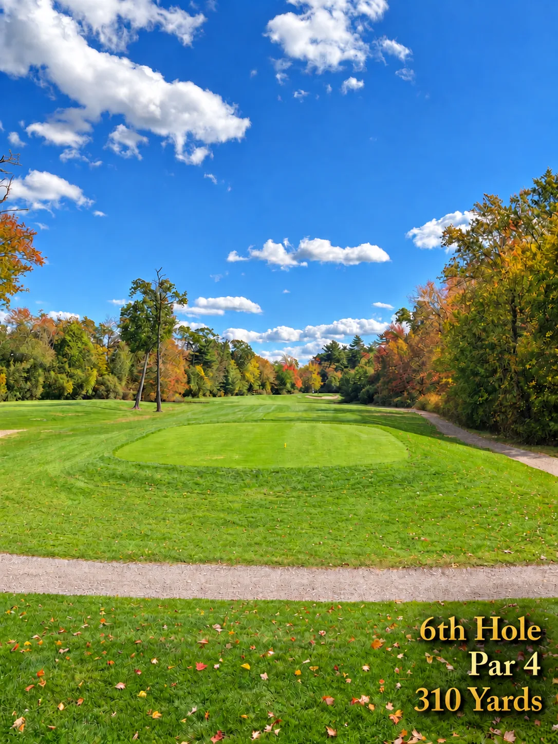 Harmon Golf Hole 6