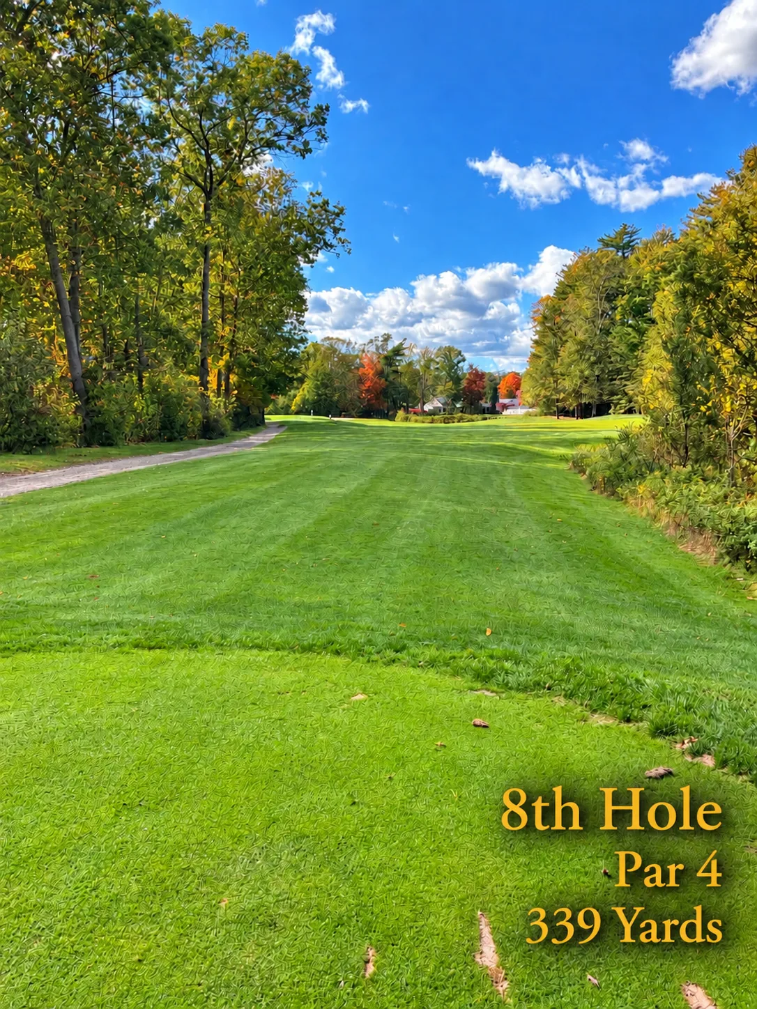 Harmon Golf Hole 8